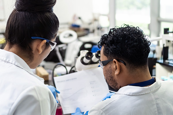 Young researchers reviewing data together in a laboratory